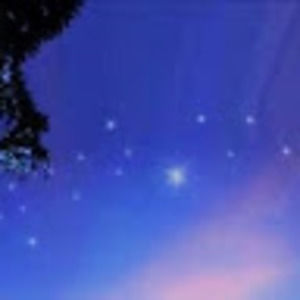 Meet your Posher, Evening